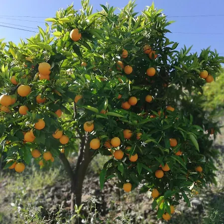 Casa Do Rio * Covelinhas