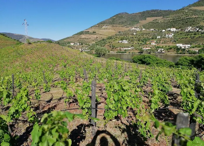 Casa Do Rio Semesterbostad