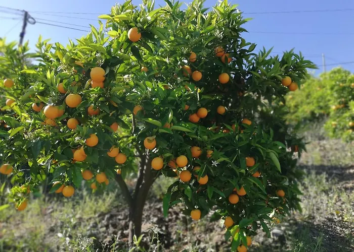 Casa Do Rio * Covelinhas
